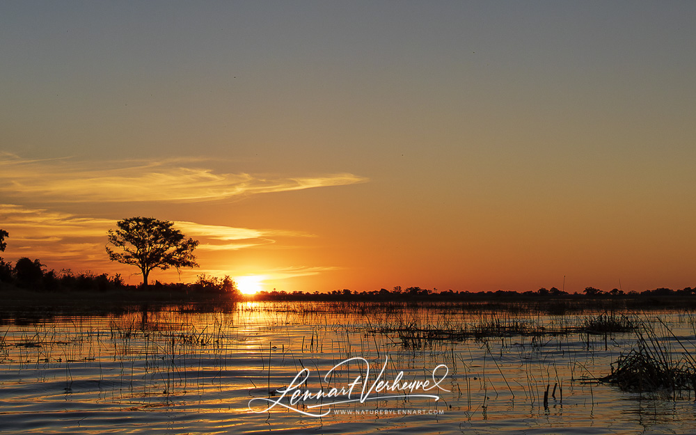 Okavango in Botswana at sunset