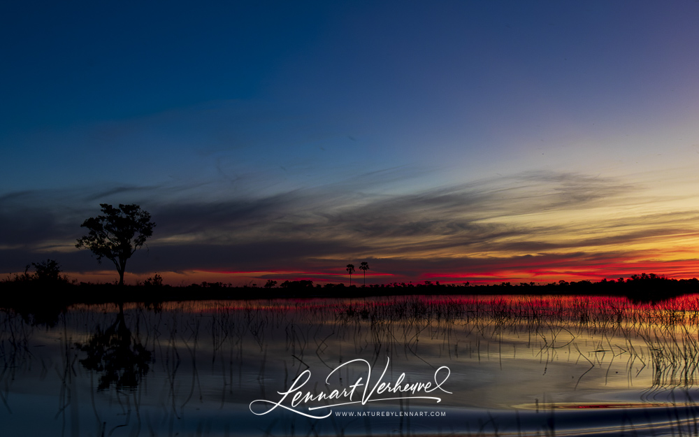 Okavango in Botswana at sunset