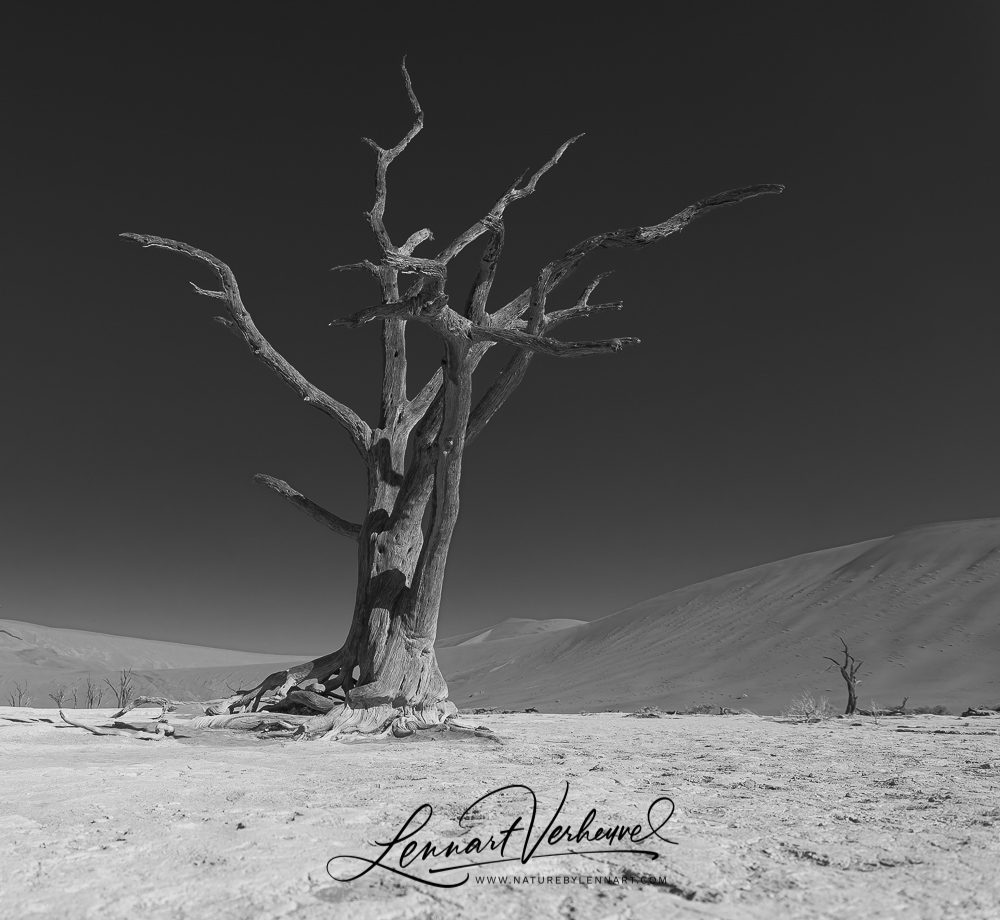 Deadvlei in Namibia