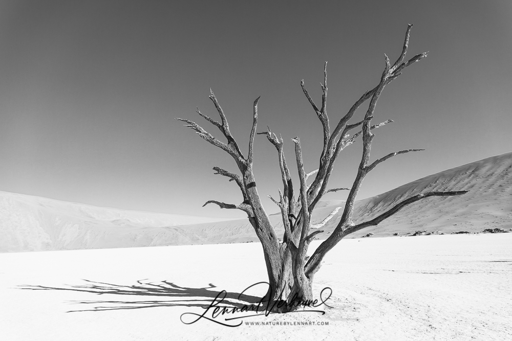 Deadvlei in Namibia