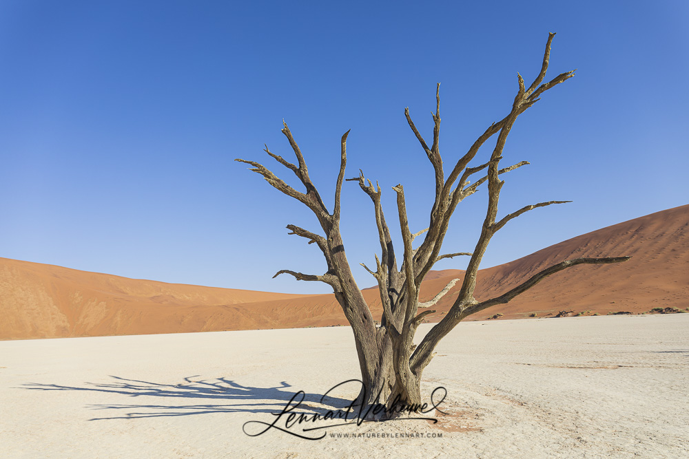 Deadvlei in Namibia