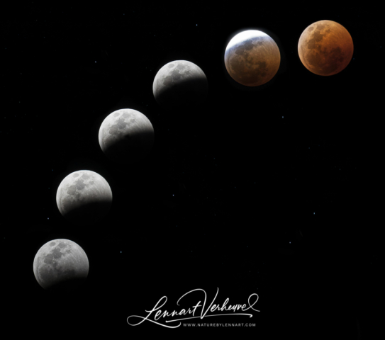 Compilation Lunar Eclipse in Namibia