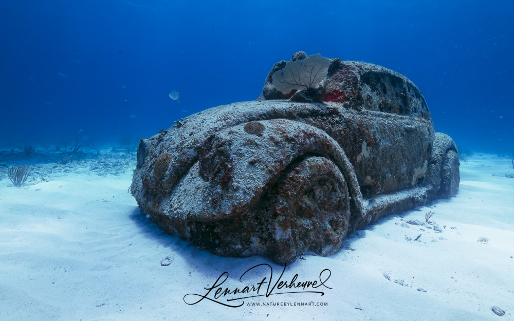 A Volkswagen Beetle parked under water